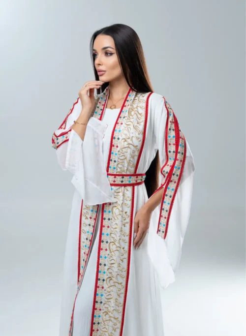 Amira-2