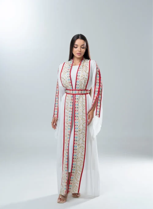 Amira-5